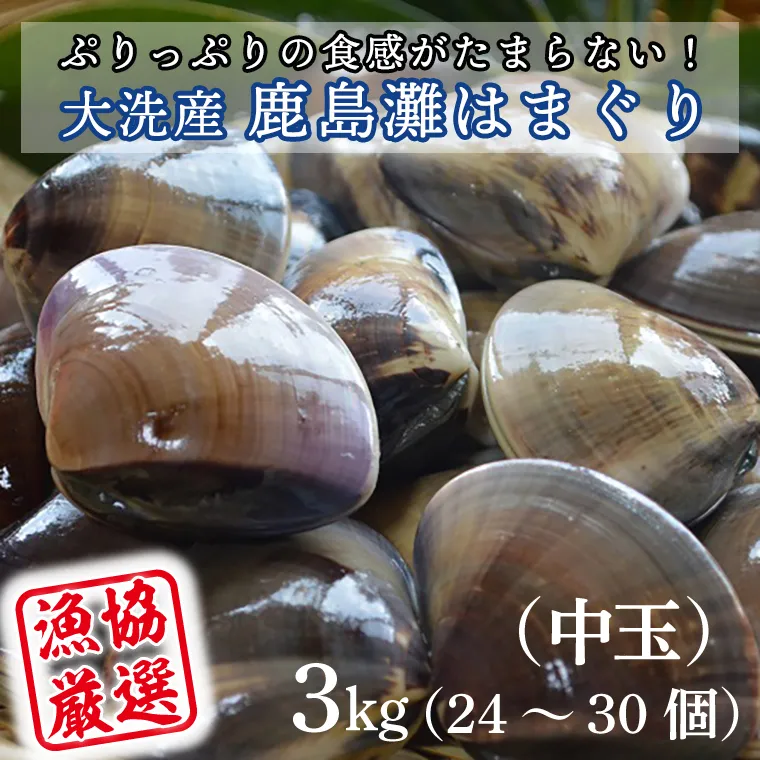 大洗産鹿島灘天然はまぐり 3kg 冷蔵 お吸い物 ハマグリ 蛤 貝 砂抜き処理 魚介類 大洗産 天然 はまぐり