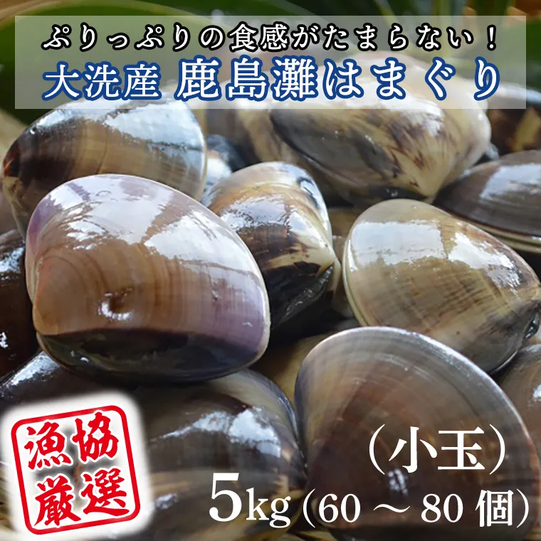 大洗産鹿島灘天然はまぐり 5kg 冷蔵 お吸い物 ハマグリ 蛤 貝 砂抜き処理 魚介類 大洗産 天然 はまぐり