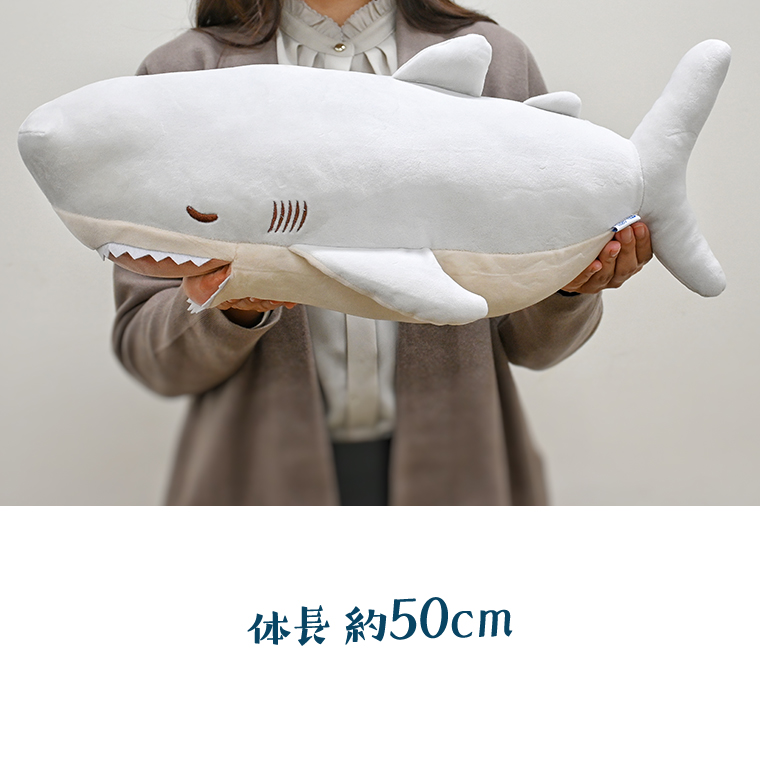 ホホジロザメ 抱き枕 アクアワールド 大洗 オリジナル かむかむズ ぬいぐるみ サメ グッズ 茨城 水族館 さめ 鮫 限定｜大洗町｜茨城県｜返礼品をさがす｜まいふる  by AEON CARD