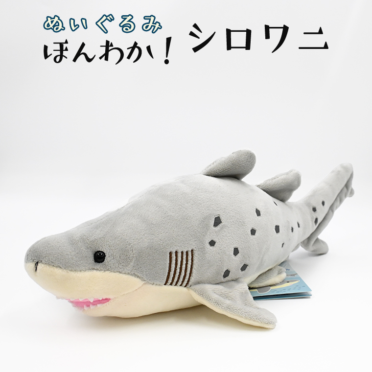 ぬいぐるみ シロワニ アクアワールド 大洗 オリジナル サメ グッズ 茨城 水族館 さめ 鮫 限定｜大洗町｜茨城県｜返礼品をさがす｜まいふる by  AEON CARD