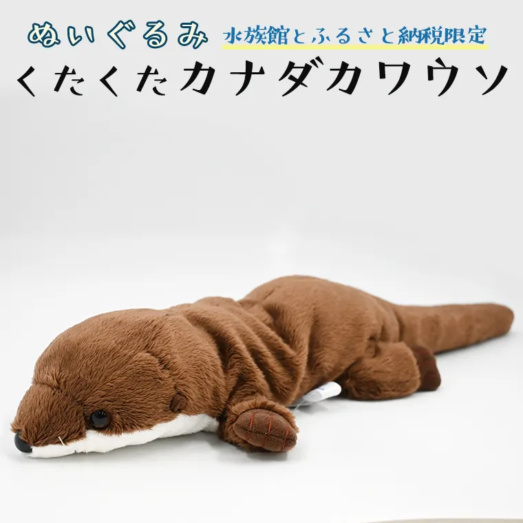 ぬいぐるみ カワウソ アクアワールド 大洗 オリジナル グッズ 茨城 水族館 くたくたカナダカワウソ かわうそ 限定