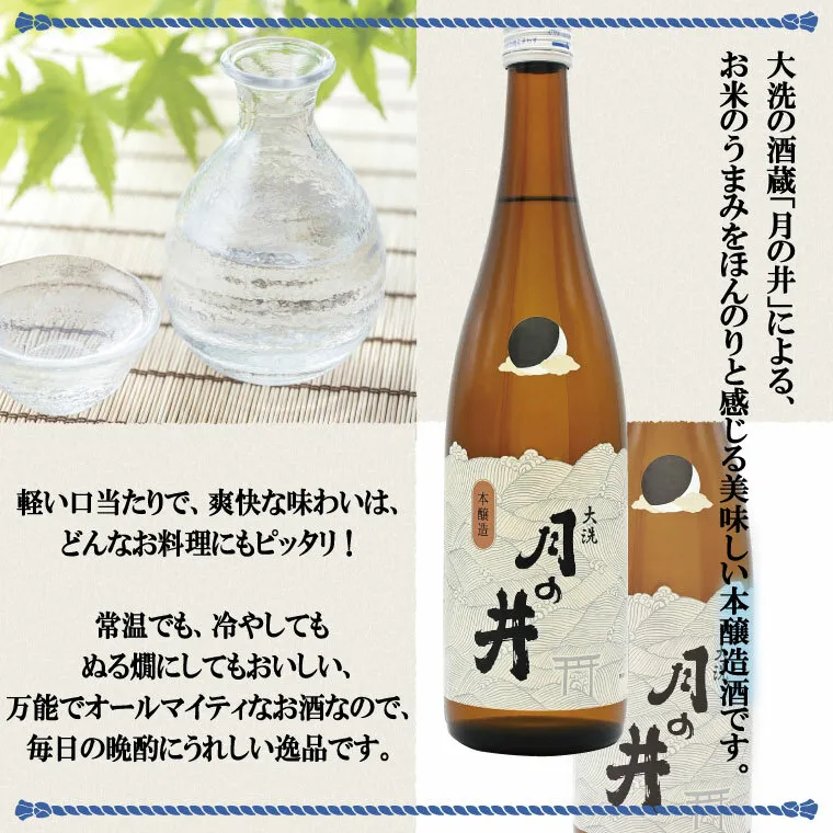 日本酒 仕込み 梅酒 500ml 本醸造 720ml 2本 セット 月の井 大洗 地酒 国産梅 茨城