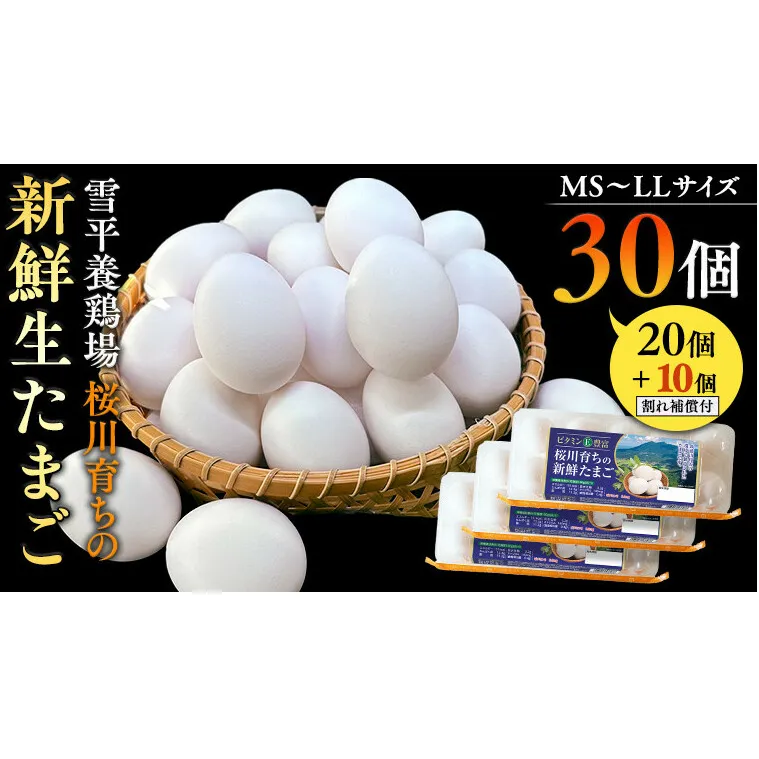 雪平養鶏場 桜川育ちの 新鮮 たまご 合計30個（20個＋10個割れ補償付) たまごかけご飯 玉子 生卵 鶏卵 TKG