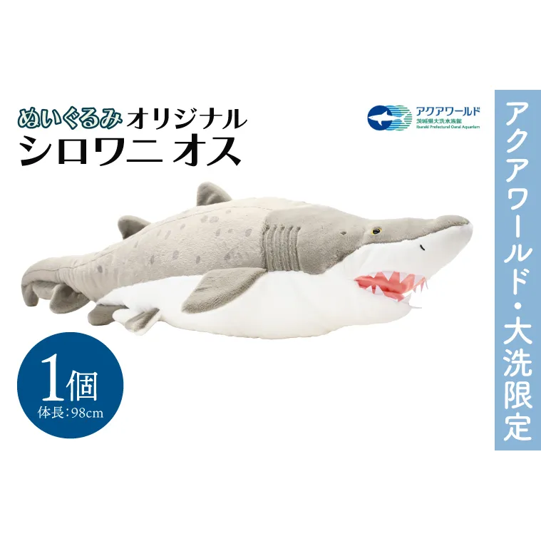 ぬいぐるみ オリジナル シロワニ オス １体 アクアワールド 大洗 限定 グッズ 水族館 さめ サメ 鮫