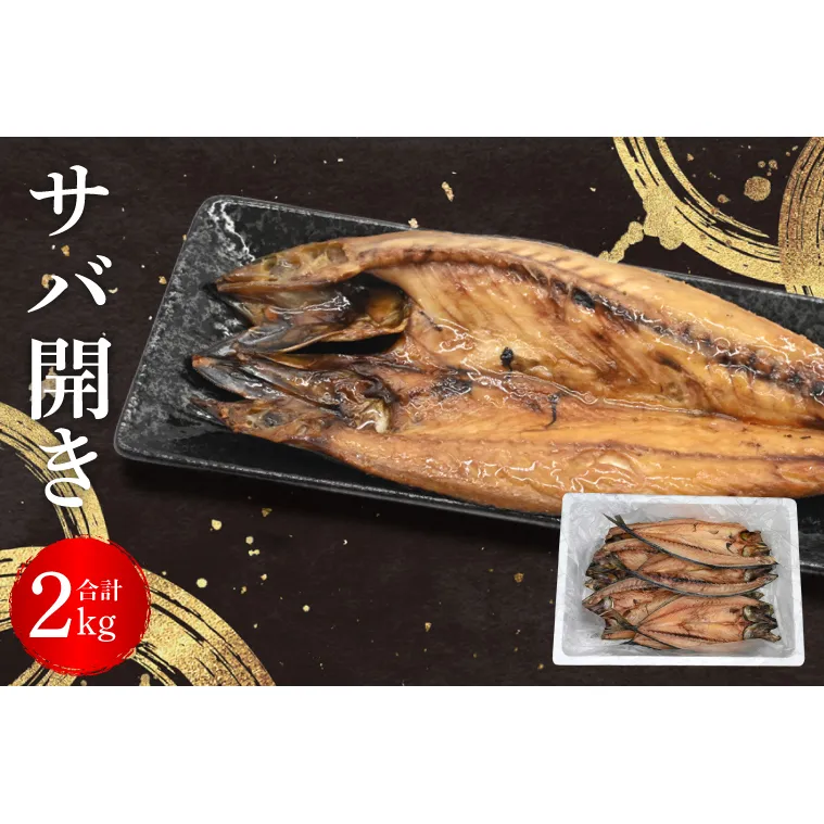 サバ 干物 2kg 箱詰め 鯖 開き 半身 ひもの 大洗町 焼魚 焼き魚 魚 魚介 海鮮 海産物 冷凍 工場直送 おかず おつまみ