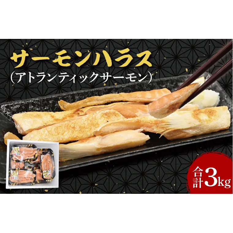 サーモン ハラス 3kg (200ｇ×15p) アトランティックサーモン 鮭 鮭はらす 干物 ひもの 大洗町 焼魚 焼き魚 魚 魚介 海鮮 海産物 冷凍 工場直送 おかず おつまみ