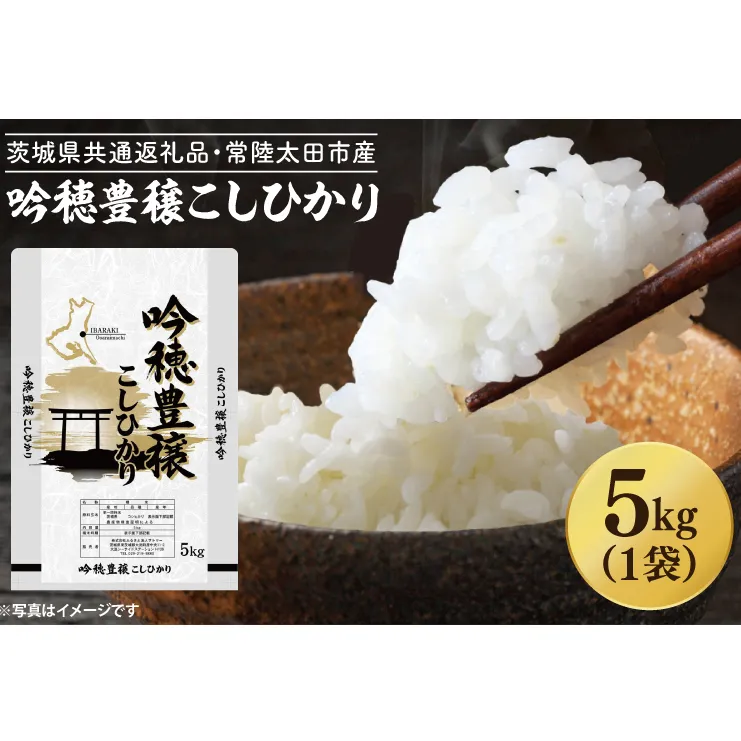 ＜令和6年産＞ 新米 吟穂豊穣こしひかり 5kg 精米 特別栽培 (茨城県共通返礼品・常陸太田市産) 新米 コシヒカリ こしひかり 米 ごはん コメ お米 白米 国産 茨城県産
