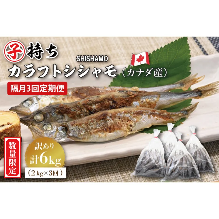 【定期便】 子持ち カラフトシシャモ ２kg (500g×4袋) 訳アリ シシャモ ししゃも カラフトししゃも 大洗 規格外 訳あり わけあり 傷 半年お届け（2ヶ月に1度 ２kg × 3回 お届け ）