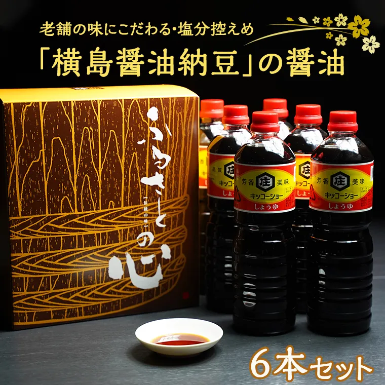 老舗の味にこだわる「横島醤油納豆」の醤油　６本セット　[AO002ya]