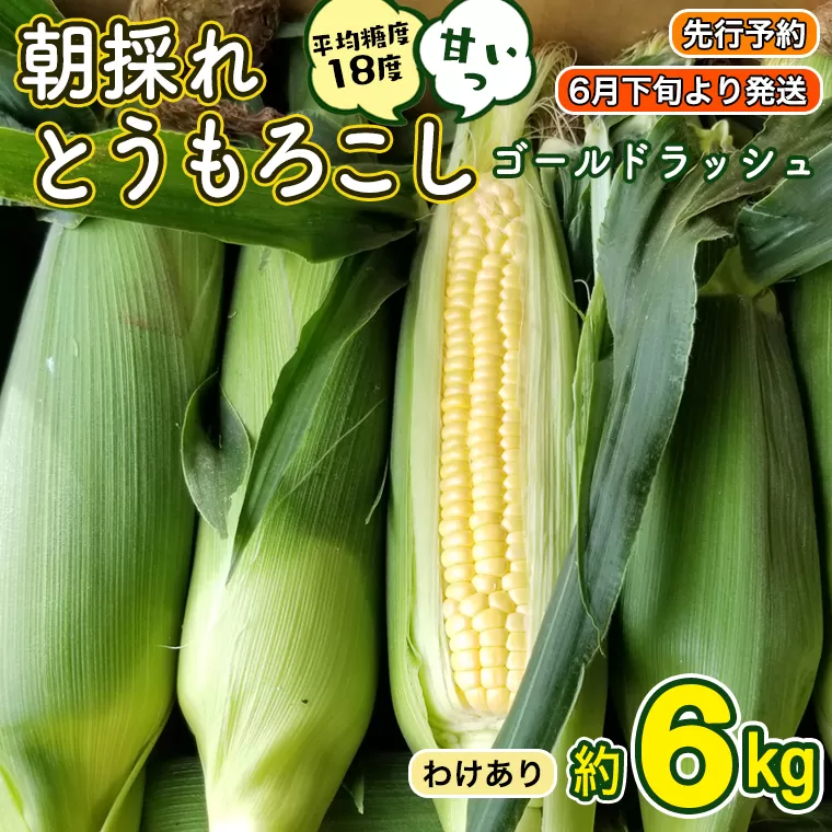 【訳あり】【先行予約・6月下旬以降発送】朝採りとうもろこし（ゴールドラッシュ）約6kg [AX014ya]