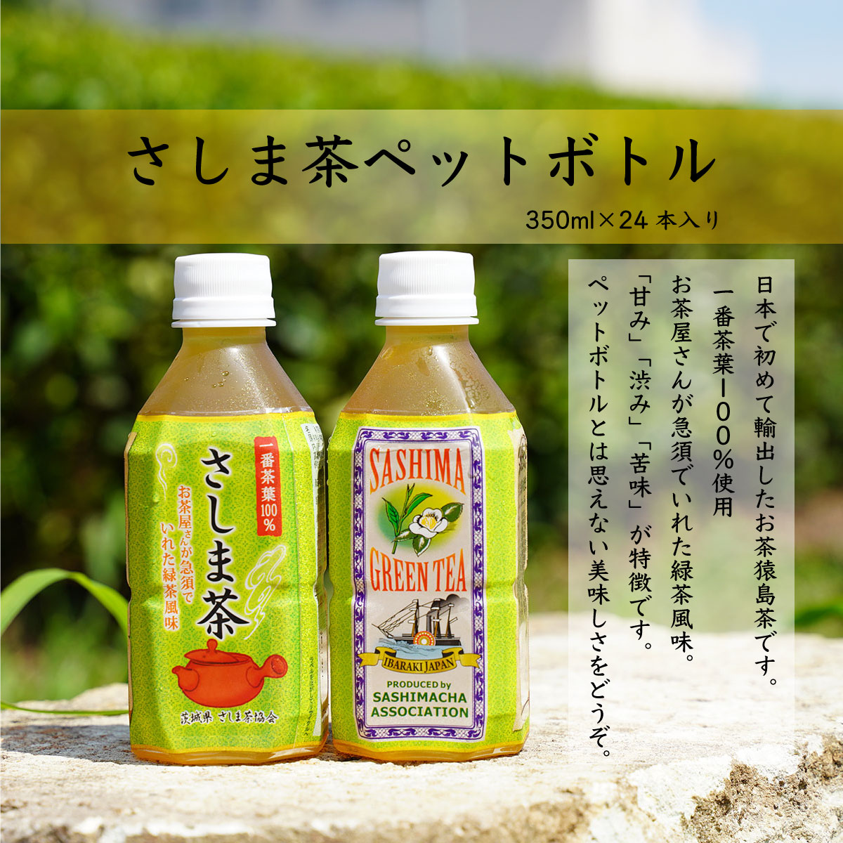 猿島茶 ペットボトル １ケース （350ml×24本入り） お茶 緑茶 茨城県 [AF089ya] ｜八千代町｜茨城県｜返礼品をさがす｜まいふる by  AEON CARD