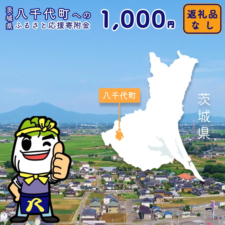 【 返礼品なし 】茨城県 八千代町 ふるさと応援寄附金 （ 1,000円 ) [ZZ001ya]