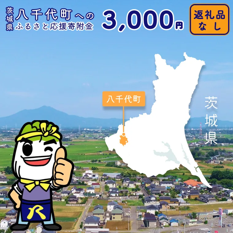 【 返礼品なし 】茨城県 八千代町 ふるさと応援寄附金 （ 3,000円 ) [ZZ002ya]