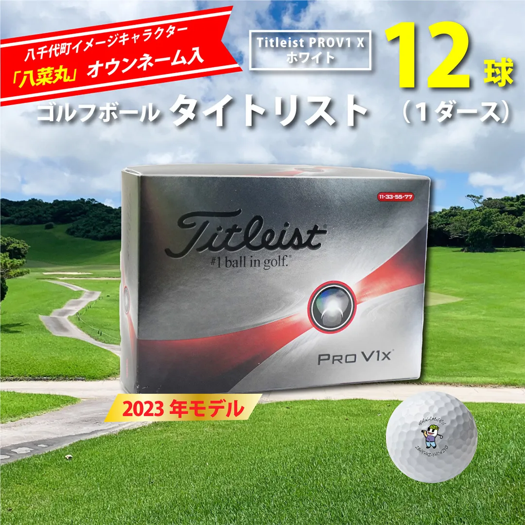 【 2023年9月30日まで 】 ゴルフボール タイトリスト PROV1X ホワイト 1ダース ( 12球 ) 八菜丸 プロV1 Titleist ゴルフ ボール 期間限定 スポーツ [BW009ya]