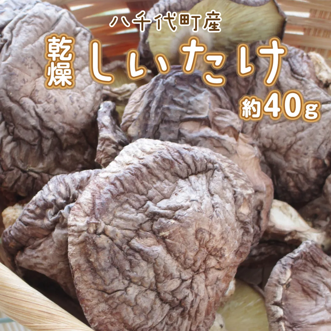 八千代町産 乾燥 しいたけ 約40g 椎茸 シイタケ きのこ キノコ 乾燥 ふるさと納税 6000円 茨城県 八千代町 [CW004ya]