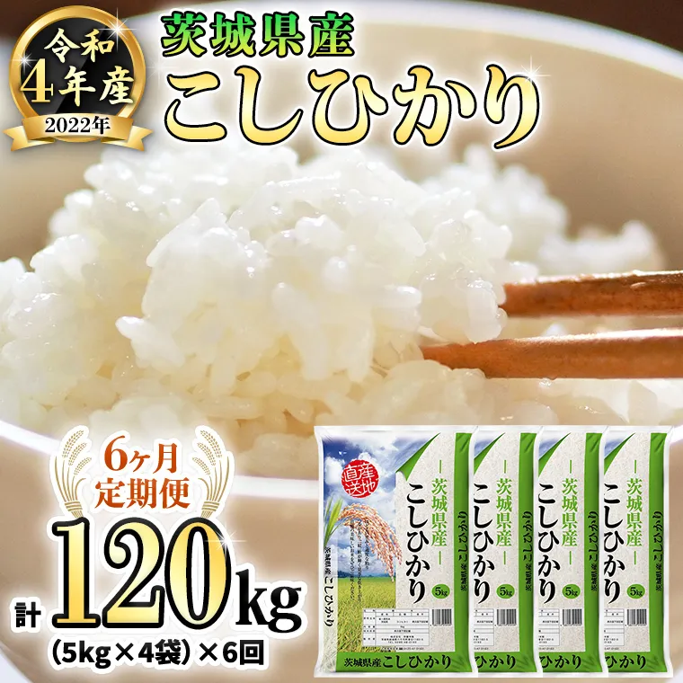 【6ヶ月定期便】 令和4年産米 茨城県産 コシヒカリ (精米) 20kg ( 5kg ×4袋)×6回 計 120kg お米 米 白米 精米 大容量 定期便 6回 6ヶ月 おすすめ 人気 大人気 国産 茨城県 いばらき ランキング 単一米 こしひかり [AK022ya]