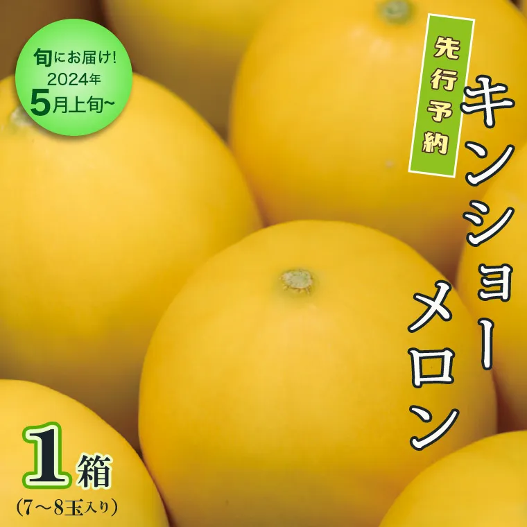 ＜先行予約＞【5月上旬以降発送】 キンショーメロン 1箱 （７～８玉入り） 期間限定 めろん 果物 フルーツ 甘い [AA006ya]