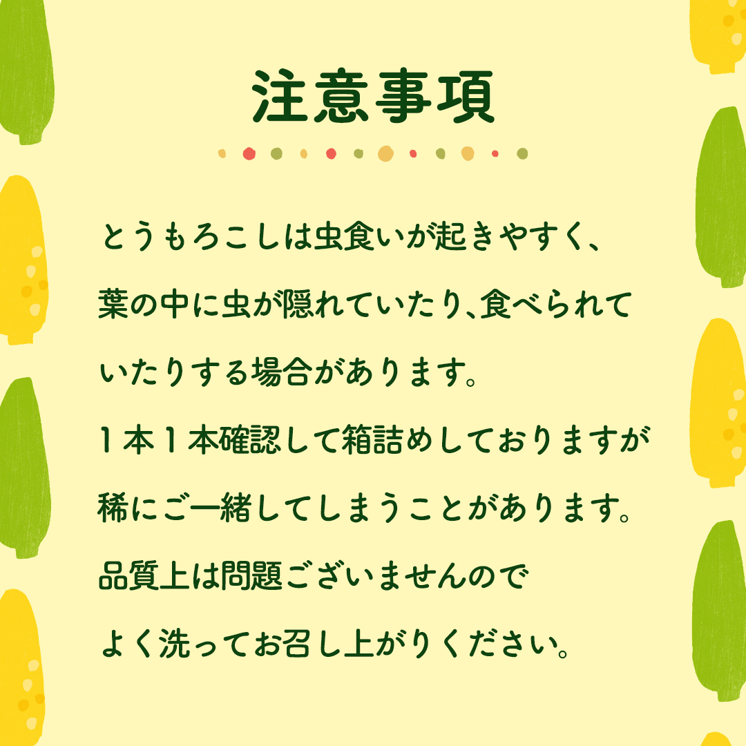 先行予約 令和7年 6月下旬 以降発送 】 朝採り とうもろこし （ ゴールドラッシュ ） 約 6kg トウモロコシ スイートコーン コーン 野菜  産地直送 期間限定 極甘 岩田さん 昼めし旅 [AX019ya]｜八千代町｜茨城県｜返礼品をさがす｜まいふる by AEON CARD