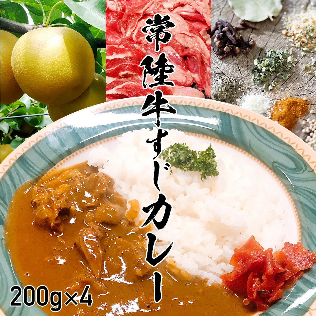 常陸牛すじカレー 200g ×4 常陸牛 カレー 牛肉 時短 ふるさと納税 9000円[AU104ya]