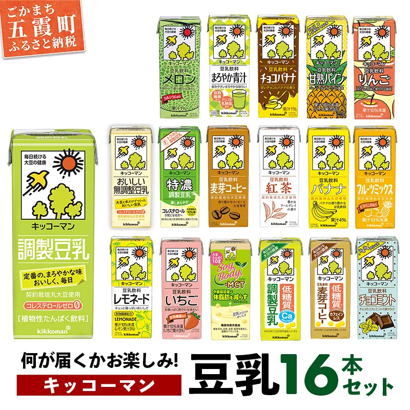 【合計200ml×16本】キッコーマン バラエティーセット 200ml ／ 飲料 豆乳 健康 おまかせ おやつ 豆乳飲料 大豆 パック セット 定番 飲み切り おすすめ 茨城県 五霞町