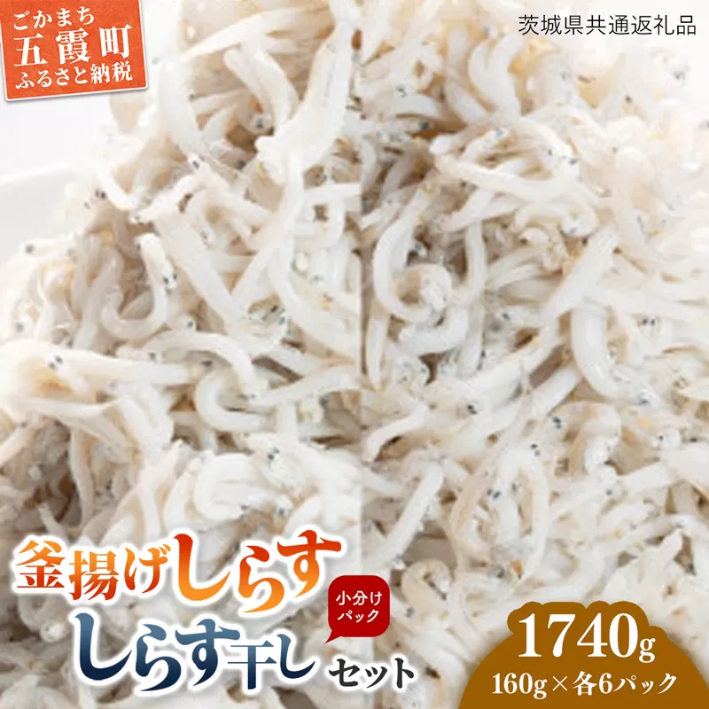 釜揚げしらす・しらす干し各６パック（12個セット）（茨城県共通返礼品・大洗町産）