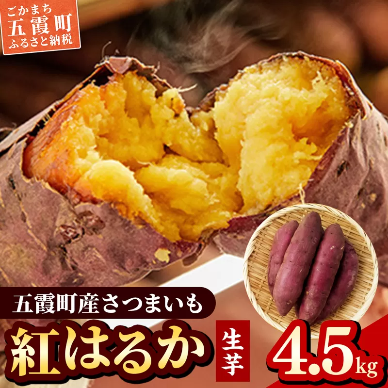 五霞町産さつま芋（紅はるか）4.5kg ／ サツマイモ さつまいも 野菜 茨城県 特産品【2024年12月より順次発送】