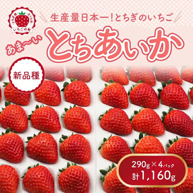 【先行予約】【数量限定】とちあいか 290g×4パック｜いちご イチゴ 苺 真空パック ※2024年11月上旬頃より順次発送予定