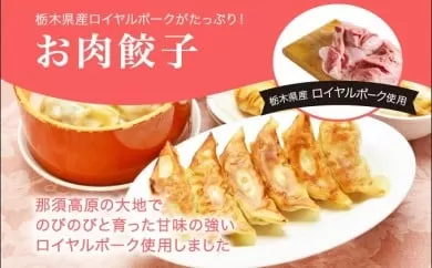 「宇都宮餃子館」お肉餃子 960ｇ（４８個）ギョーザ 冷凍餃子 冷凍食品 グルメ 食品 惣菜 中華惣菜 点心 中華 送料無料