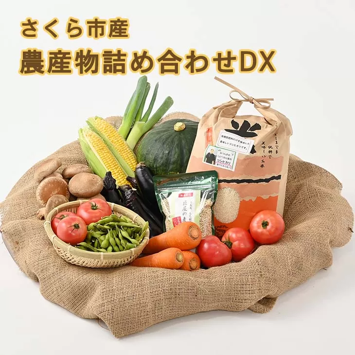 さくら市産の農産物詰め合わせDX　≪野菜 旬の野菜 米 送料無料≫