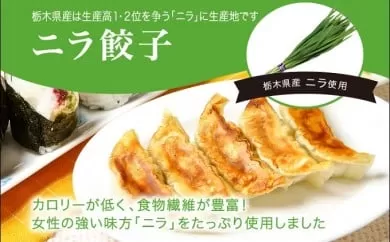 「宇都宮餃子館」ニラ餃子 960ｇ（４８個）ギョーザ 冷凍餃子 冷凍食品 グルメ 食品 惣菜 中華惣菜 点心 中華 送料無料