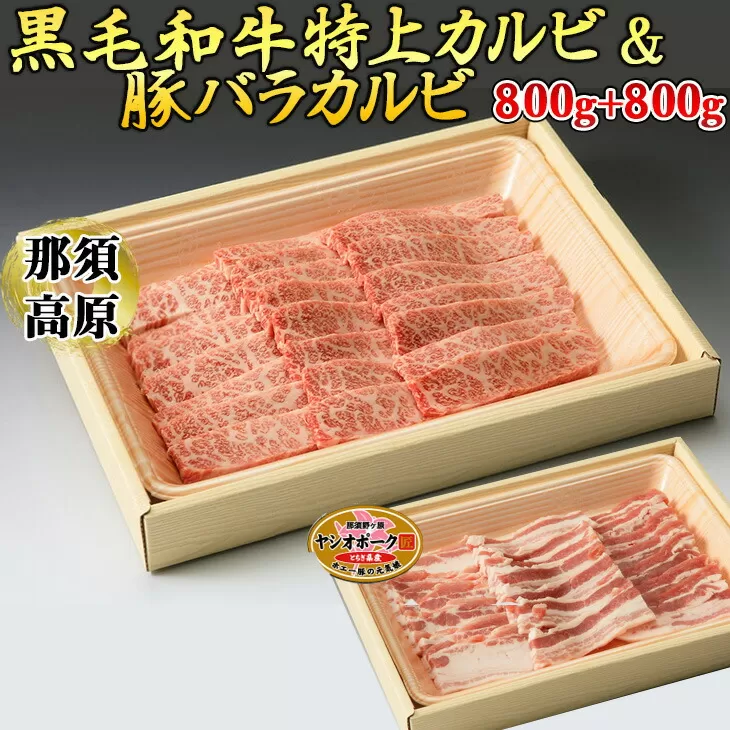 那須高原和牛特上カルビ800ｇ入栃木県産枝肉熟成ヤシオポーク匠バラカルビ800ｇ入 肉 牛肉 豚肉 グルメ 栃木県 送料無料※着日指定不可