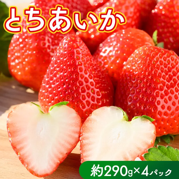 いちご（とちあいか） 290g×4パック 1.16kg以上｜先行予約 数量限定 栃木県 果物 くだもの フルーツ 苺 イチゴ ※2024年11月下旬頃～2025年3月下旬頃に順次発送予定