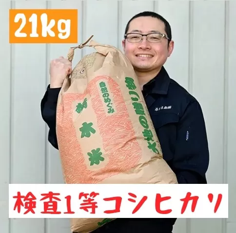 栃木県産 コシヒカリ 白米21kg【検査1等米】