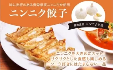 「宇都宮餃子館」ニンニク餃子 960ｇ（４８個）ギョーザ 冷凍餃子 冷凍食品 グルメ 食品 惣菜 中華惣菜 点心 中華 送料無料