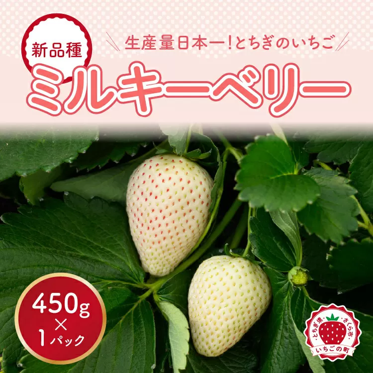 【先行予約】いちご ミルキーベリーセット 450g×1パック ※2025年1月中旬～4月中旬頃に順次発送予定