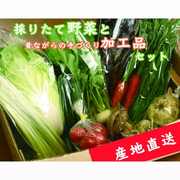 【産地直送】採りたて野菜と昔ながらの手づくり加工品セット 旬の野菜 詰め合わせ 野菜セット 栃木県産 国産 送料無料