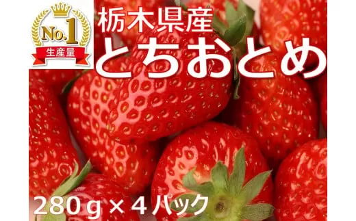 【1月発送】【先行予約】【数量限定】とちおとめ　280g × 4パック｜いちご イチゴ 苺