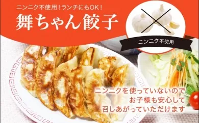 「宇都宮餃子館」舞ちゃん餃子 960ｇ（４８個）ギョーザ 冷凍餃子 冷凍食品 グルメ 食品 惣菜 中華惣菜 点心 中華 送料無料