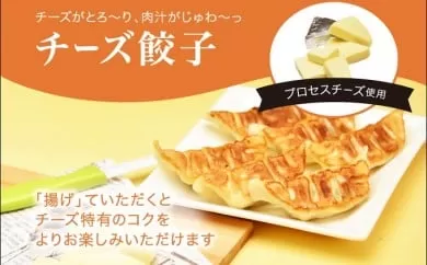 「宇都宮餃子館」チーズ餃子 960ｇ（４８個）ギョーザ 冷凍餃子 冷凍食品 グルメ 食品 惣菜 中華惣菜 点心 中華 送料無料