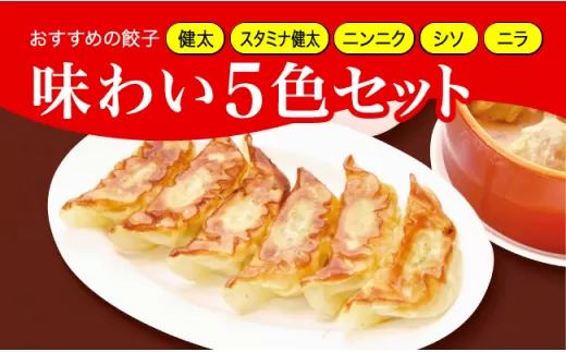 「宇都宮餃子館」健太餃子味わい５色セット（餃子5種）　800ｇギョーザ 冷凍餃子 冷凍食品 グルメ 食品 惣菜 中華惣菜 点心 中華 送料無料