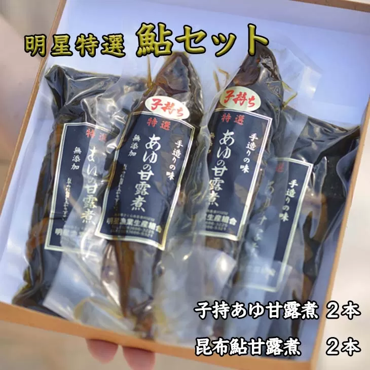 明星特選鮎セット◆ ≪魚介 海鮮 甘露煮 おつまみ おかず 贈り物 プレゼント ギフト 送料無料≫