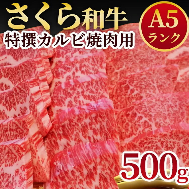 A5さくら和牛特撰カルビ焼肉用500ｇ 肉 焼肉 国産牛 グルメ 送料無料