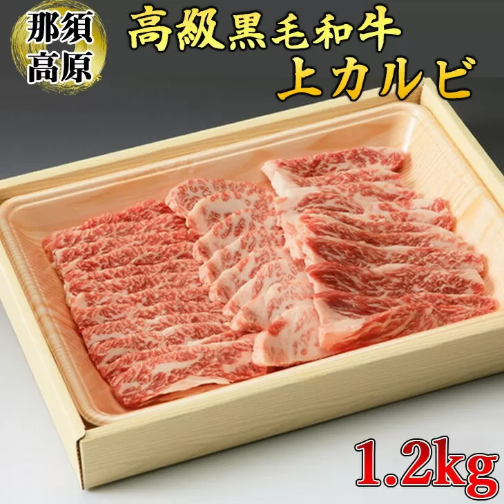 那須高原和牛上カルビ1.2kg入 肉 牛肉 黒毛和牛 グルメ 栃木県 送料無料　※着日指定不可