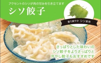 宇都宮餃子館」シソ餃子 960ｇ（４８個）ギョーザ 冷凍餃子 冷凍食品