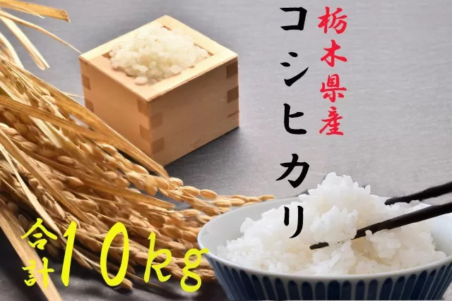 コシヒカリ 玄米３０ｋｇ 生産直売（令和３年産 生産地：栃木県さくら 