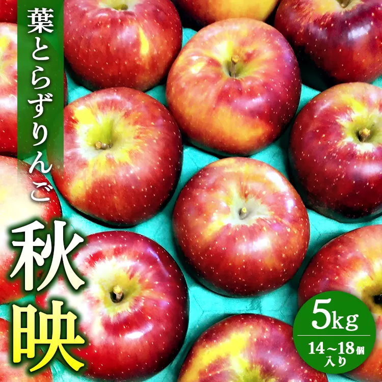 葉とらずりんご 【秋映】 5kg 14個～18個入り 【9月20日受付終了】 林檎 リンゴ フルーツ 果物 数量限定 ※2024年9月下旬～10月上旬頃に順次発送予定 ※離島・沖縄への配送不可