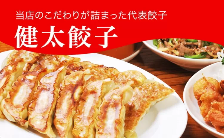 「宇都宮餃子館」健太餃子 960g（48個）≪冷凍餃子 冷凍食品 ギョーザ グルメ 食品 惣菜 中華惣菜 点心 中華≫