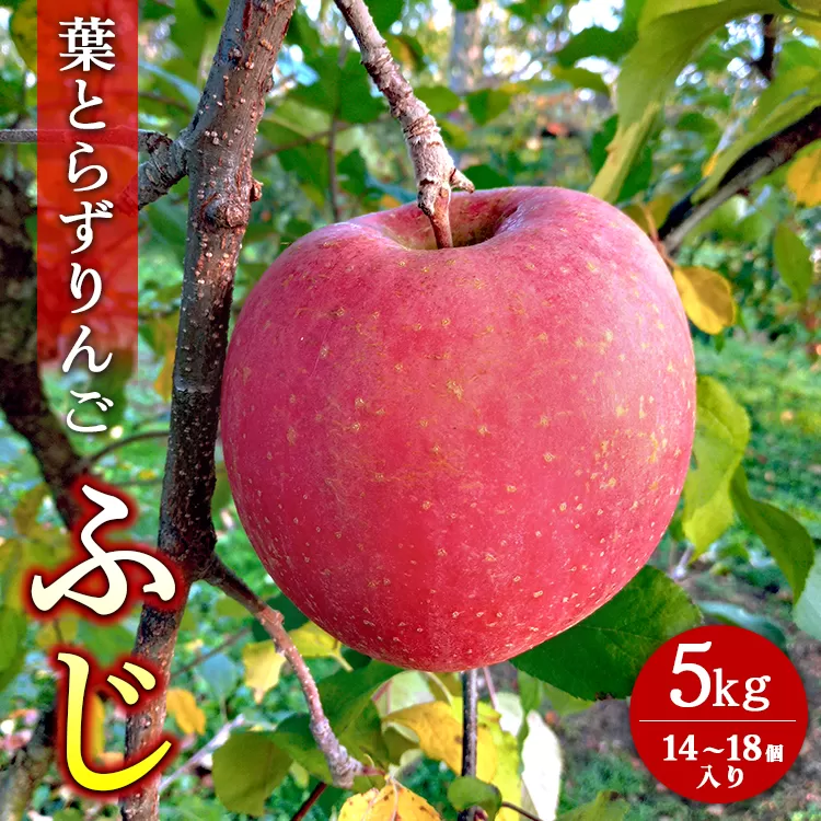 葉とらずりんご【ふじ】5kg 14個～18個入り【10/25受付終了】 林檎 リンゴ フルーツ 果物 数量限定 ※2024年11月上旬～11月下旬頃に順次発送予定 ※離島・沖縄への配送不可