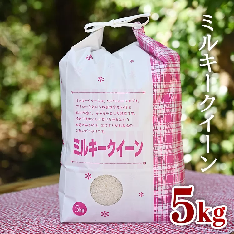 【数量限定】令和5年産　ミルキークイーン5kg≪米　お米　おいしい　白米　栃木県産≫　※2023年10月上旬から順次発送予定　※着日指定不可