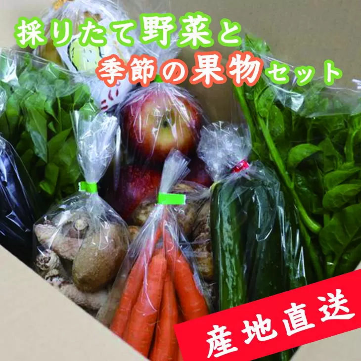 売り切れ【産地直送】採りたて野菜と季節の果物セット 旬の野菜 フルーツ 詰め合わせ 栃木県産 送料無料